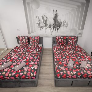 Standaard Kamer met Twee Aparte Bedden